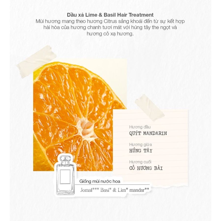 Mô tả mùi hương Dầu Xả Jmella Hương Nước Hoa 500ml NO.3